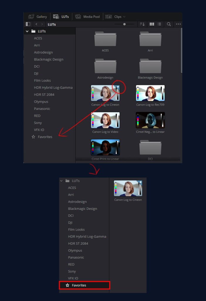 How select favorites luts for uses, that is showing in this images. 