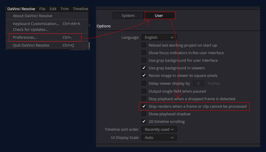 uncheacking the "stop renders when a frame or clip cannot be processed in davinci resolve studio 19 